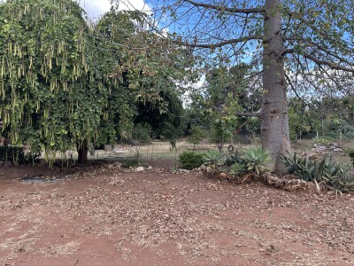 THREE BEDROOM STANDALONE HOUSE FOR RENT-2